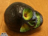 epic-win-photos-avacado-skull-win.jpg