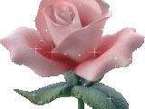 pink_flower-3231.gif