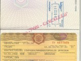 passport2.jpg