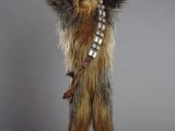 7430_wookie-736962.jpg