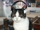 animatedmusiccat.gif