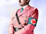 pink-hitler.jpg