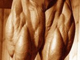 864944.1135808378014.TomPlatz2.JPG