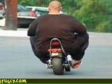 super-fat-man-on-a-scooter.jpg