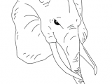 ElephantHead.png