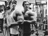 Schwarzenegger - Ken Waller.jpg