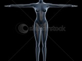 stock-photo-x-ray-female-body-model-isolated-on-dark-background-14920150.jpg