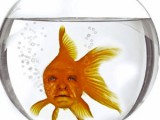 Anthony-Hopkins-Goldfish-30921.jpg