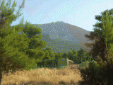 image004.gif