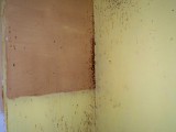 100216d.jpg
