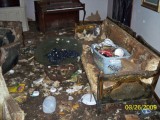 101031unknown2.jpg