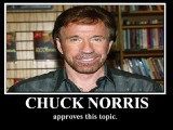 Chuck_Norris_approves__by_BadinBox.jpg