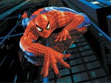 spiderman-suit-2.jpg