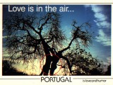 Love_is_in_the_air.jpg