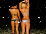 Asses-in-Snow.jpg