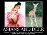 asiansdeer.jpg