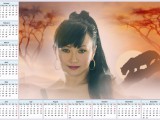 calendar-for-2013-1345809192kgF26.JPG