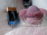 Small_penis_compared_with_battery.JPG