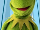 kermit.jpg