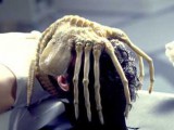alien.jpg
