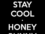 stay-cool-honey-bunny-2.png