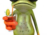 frog-on-holidays-thumb9601326.jpg