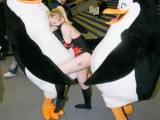 penguin-gang-bang.jpg