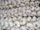 strings-of-garlic_21129344.jpg