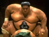 sumo.jpg