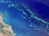 biggest-living-thing-great-barrier-reef.jpg