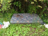 sex-mattress-in-the-middle-of-the-woods-1.jpg