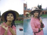 sophia-loren-collage.jpg