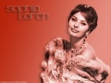 sophia-loren-wallpaper_--800x600.jpg