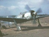 Fw_190_starting_up.jpg