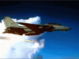 f14024.gif