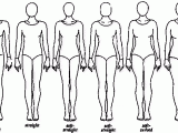 BodyTypes.gif