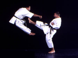 971720-07-09-11-07-50_karate1.png