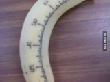 Perfect-banana-for-scaling.jpg