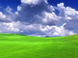 Landscape.jpg
