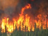 our-experience-forest-fire-suppression.jpg