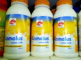 CAMEL MILK !.jpg