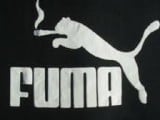 fuma.jpg