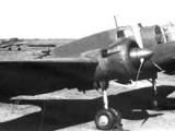 pzl39.jpg