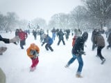 Snowball-fight01.jpg