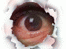 eye3.gif