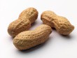 ist1_4608179_three_peanuts.jpg