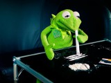 kermit the frog cocaine 1680x1050 wallpaper_www.wallpaperhi.com_37.jpg