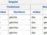 der-die-das Gleiche.jpg