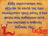 γεροντοκορη-γατα.jpg