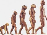 evolution.jpg